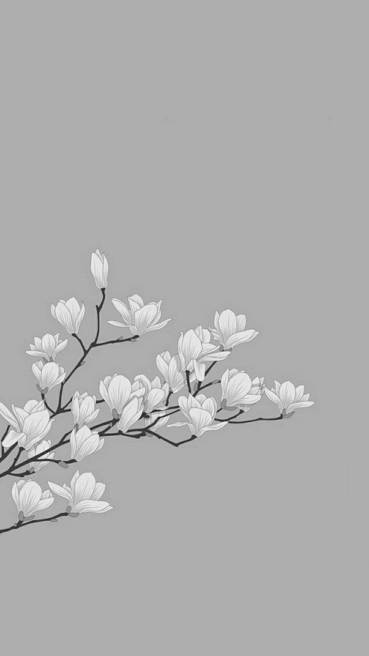 Красивый фон для сторис