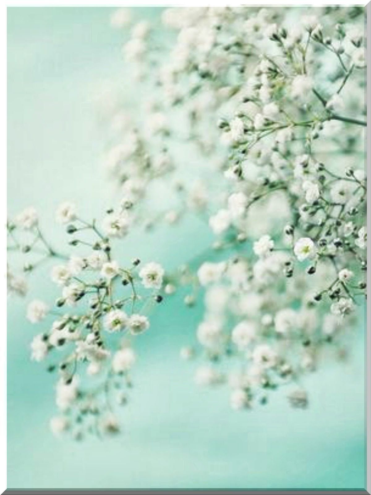 Эстетика розового цвета