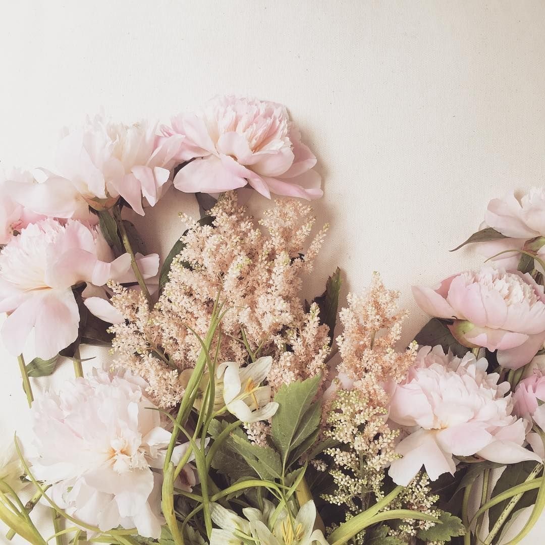 Нежные цветочки