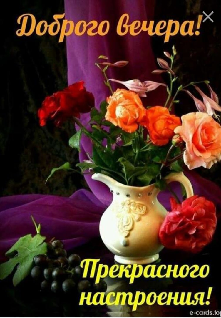 Вино на море вечером