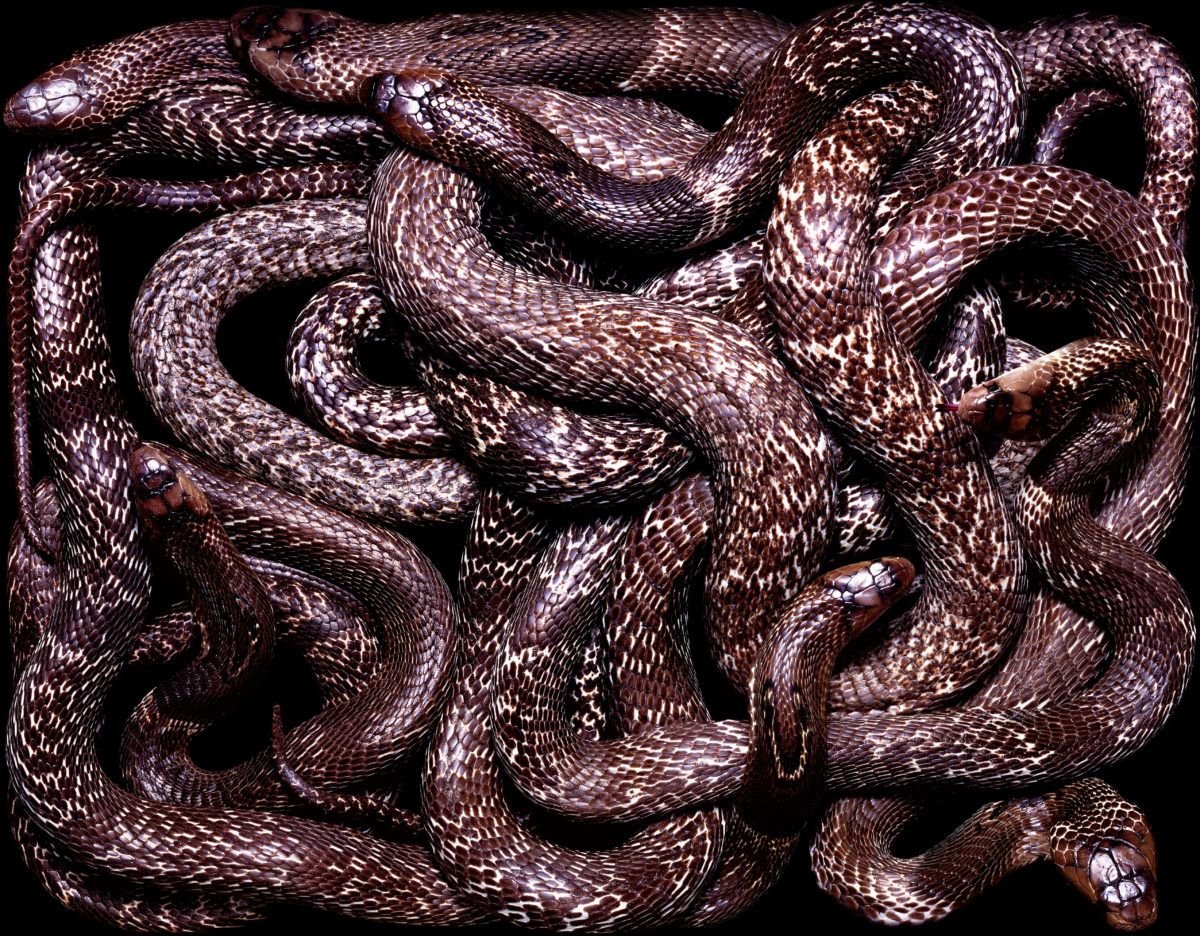 Дружная команда