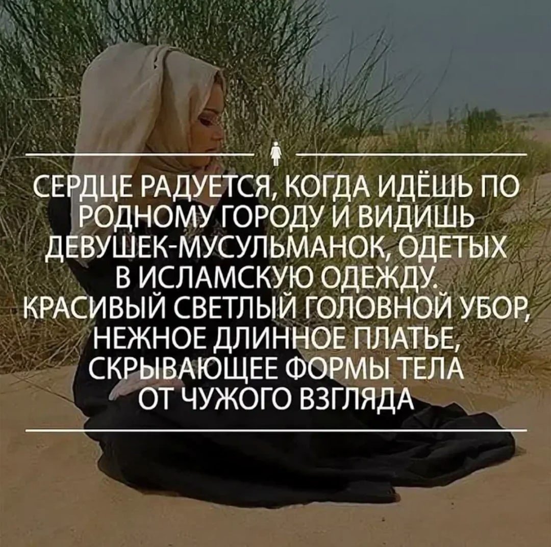 Овца боялась волка а съел ее пастух