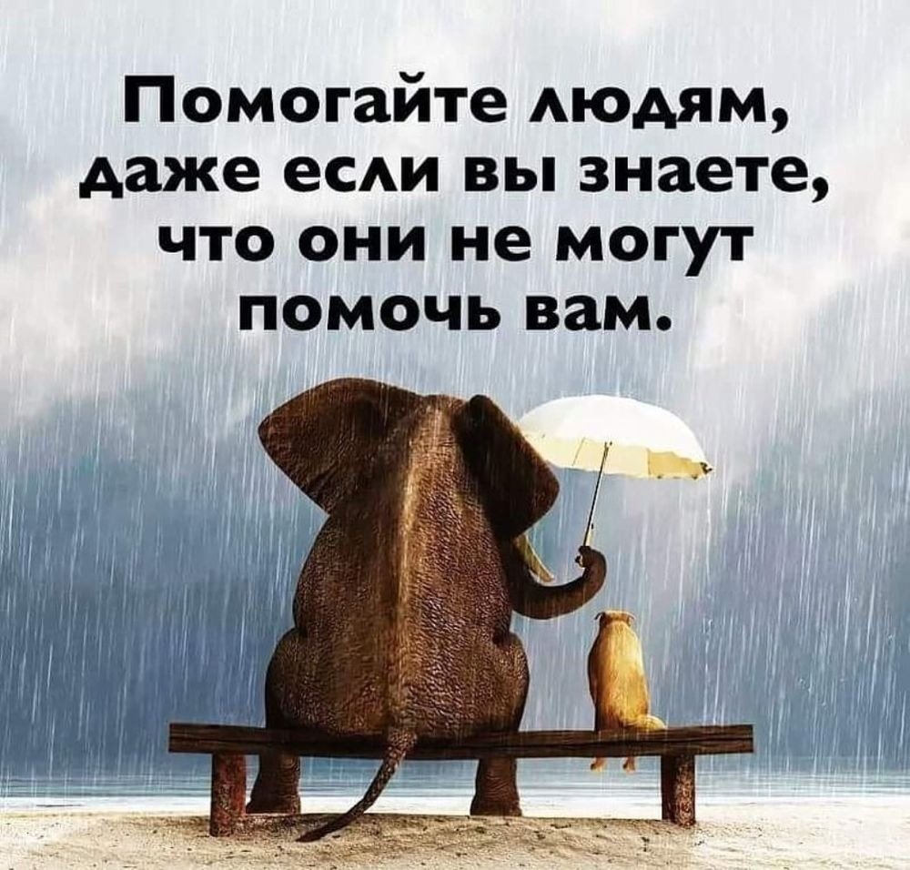 Высказывания о путешествиях