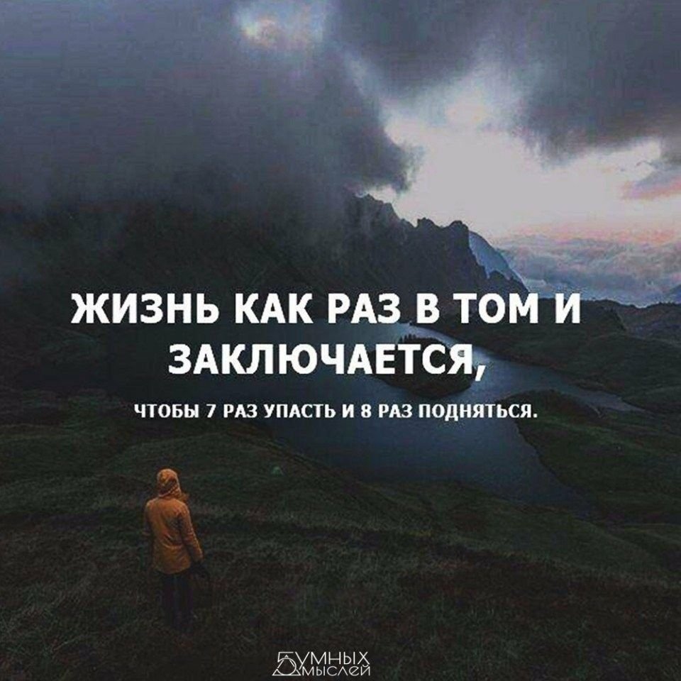 Мечтай цитаты