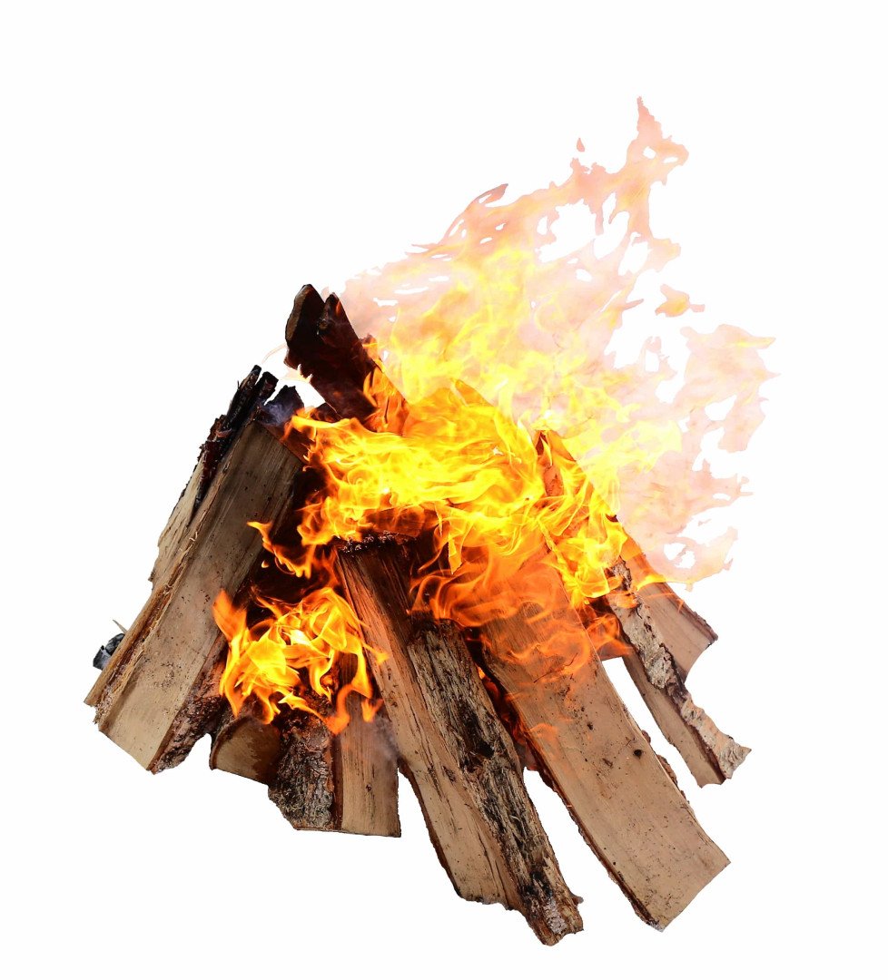 Клен на дрова как горит