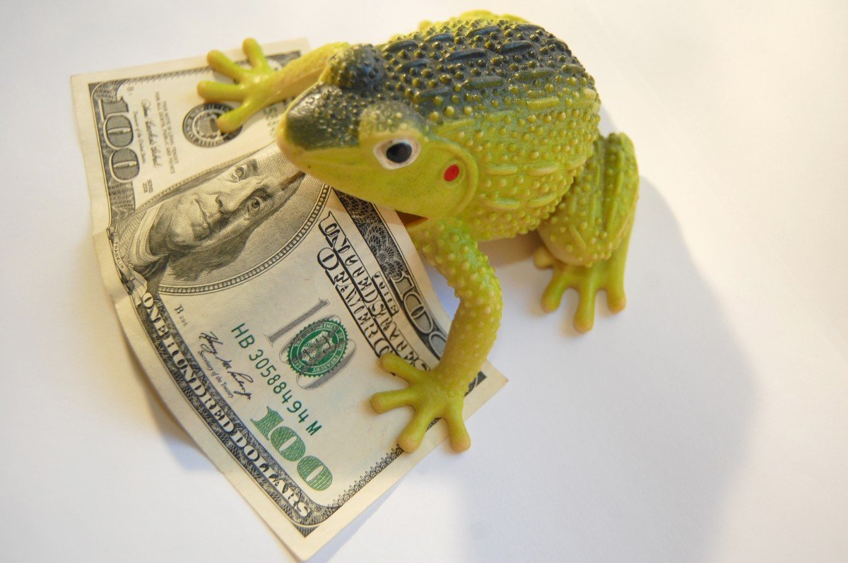 Денежная лягушка руна из серебра