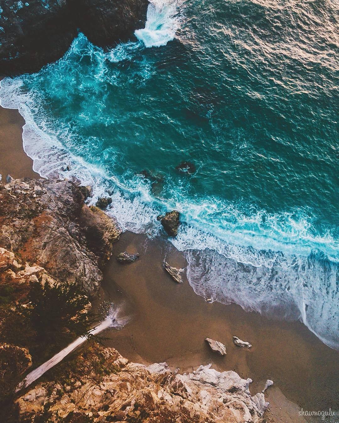 Розова голубая Эстетика