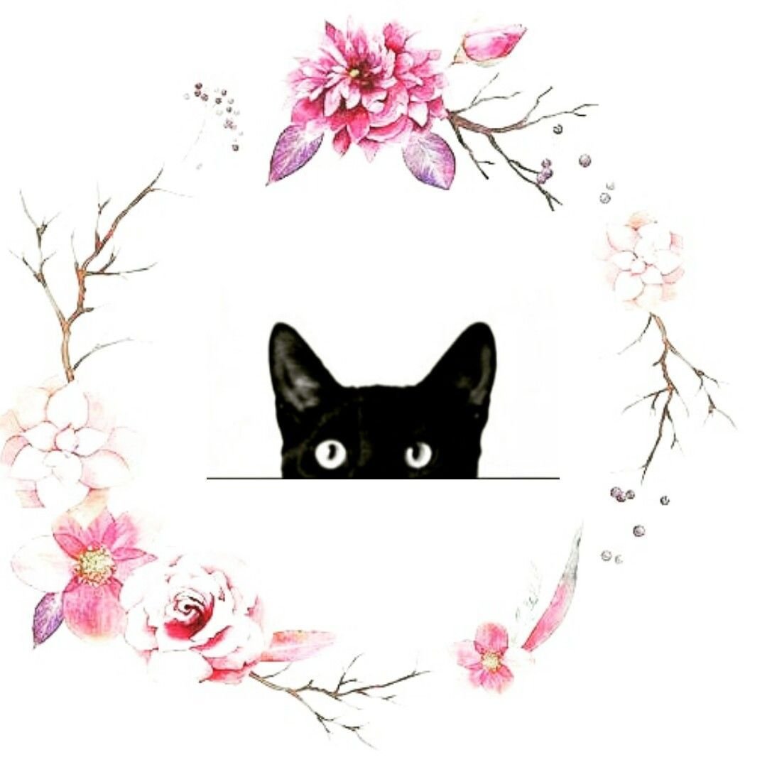 Актуальные котики