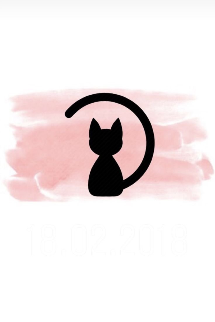 Обложки для актуального кошки