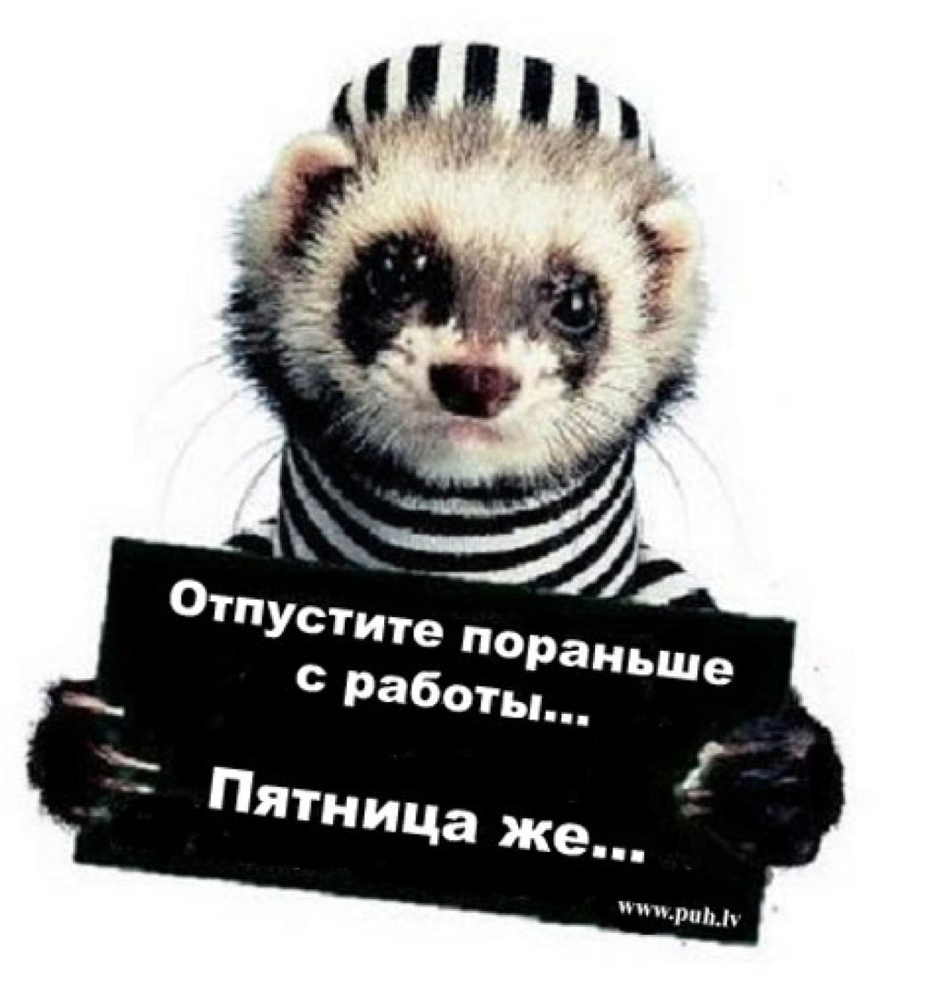 Отпустите пораньше с работы