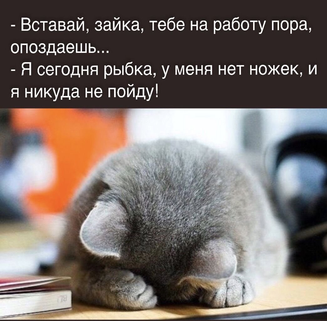 Прости цитаты