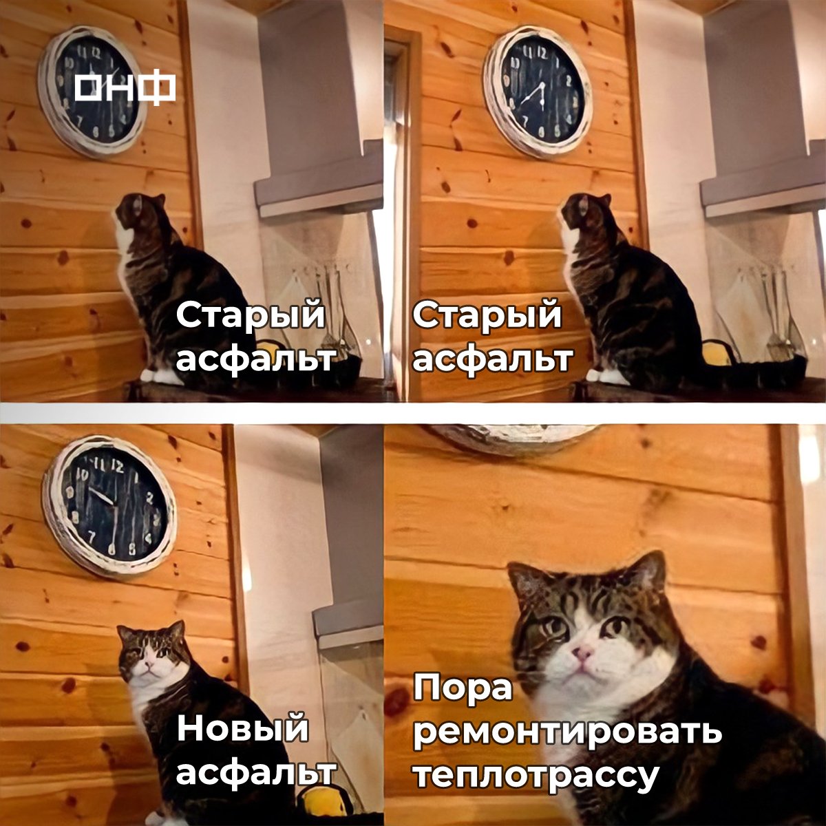 Монорельсовый кот Мем