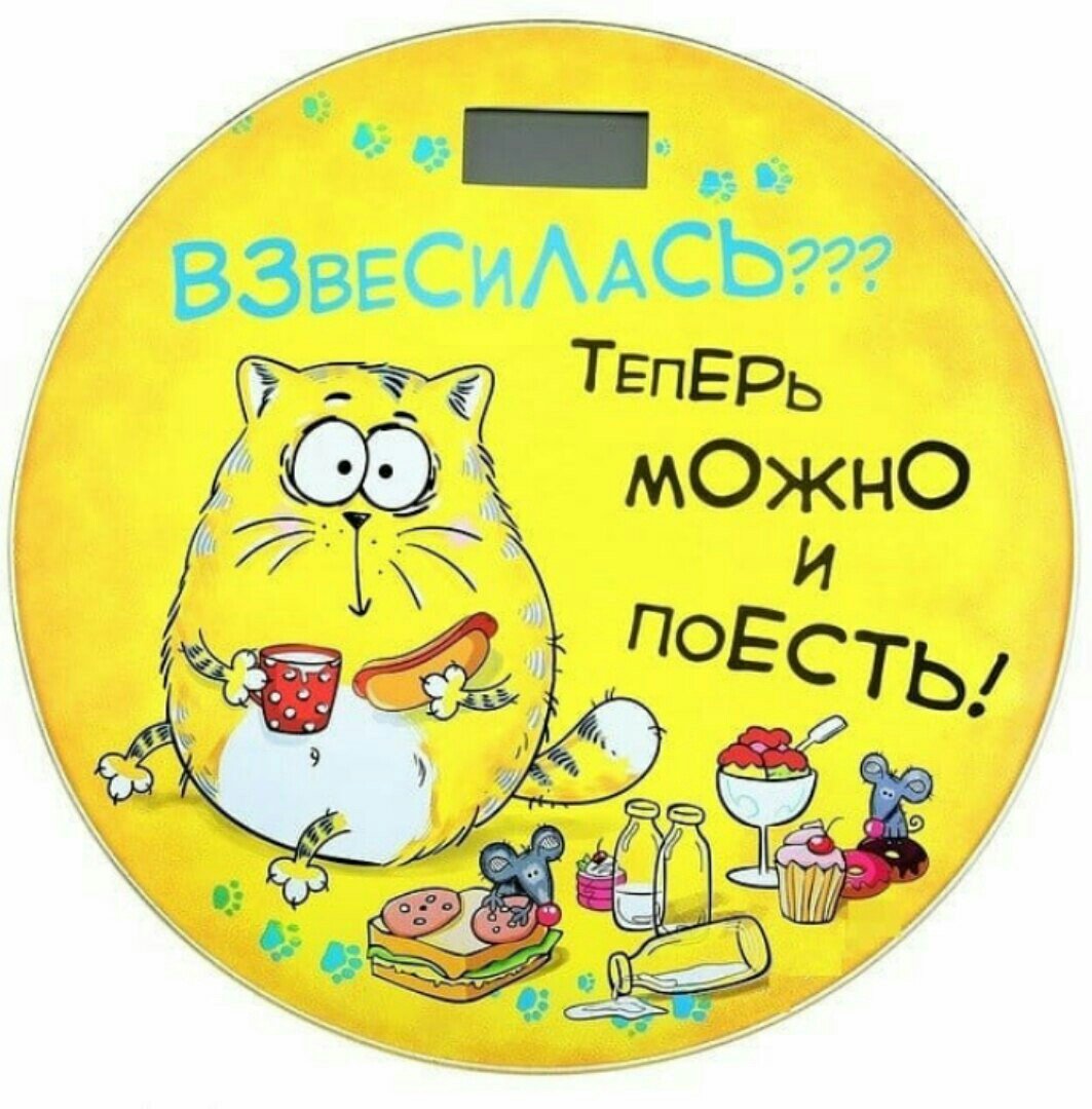 Прикольные весы напольные