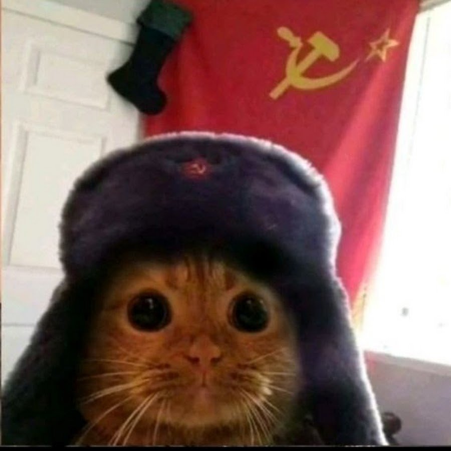 Руки держат сердце