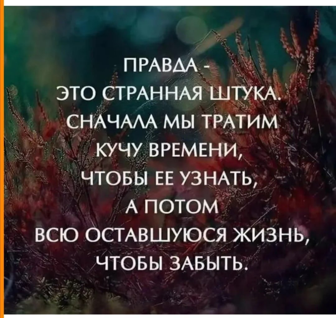 Надписи со смыслом