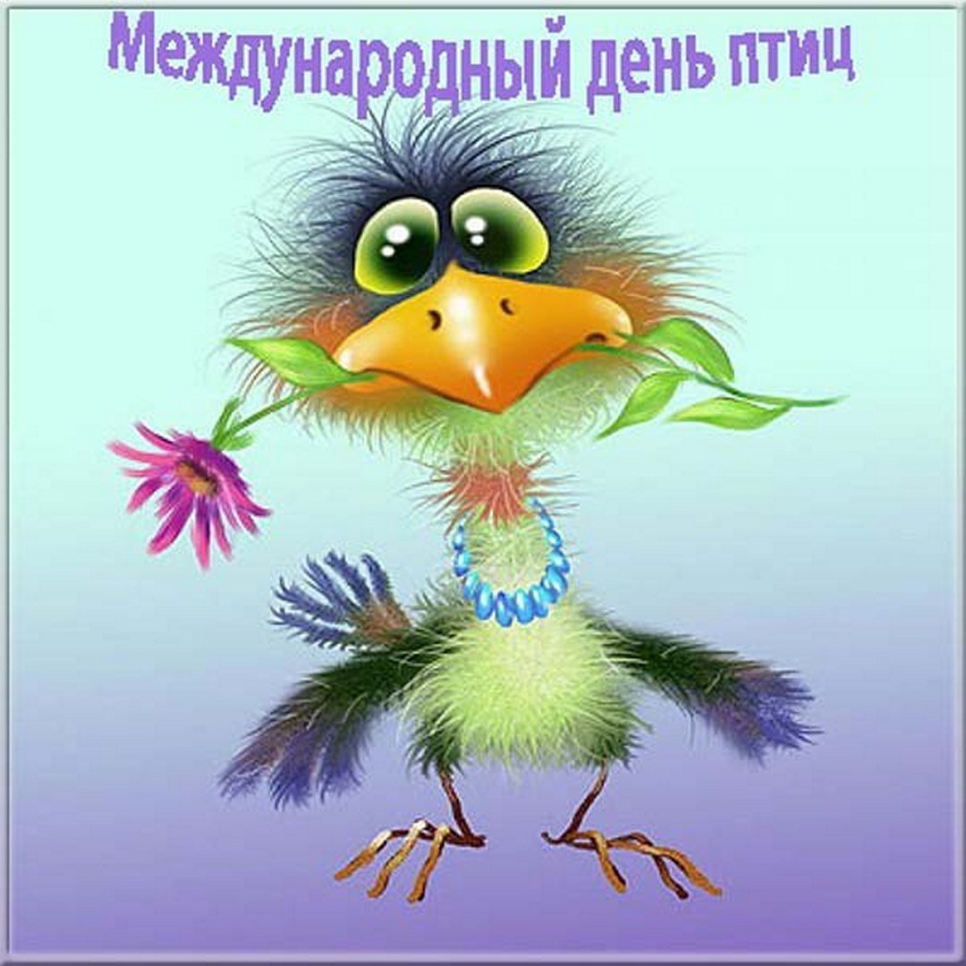 Птица счастья картинки прикольные