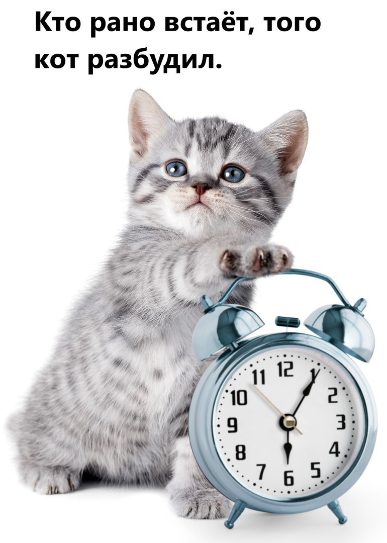 С добрым утром кофе и котик