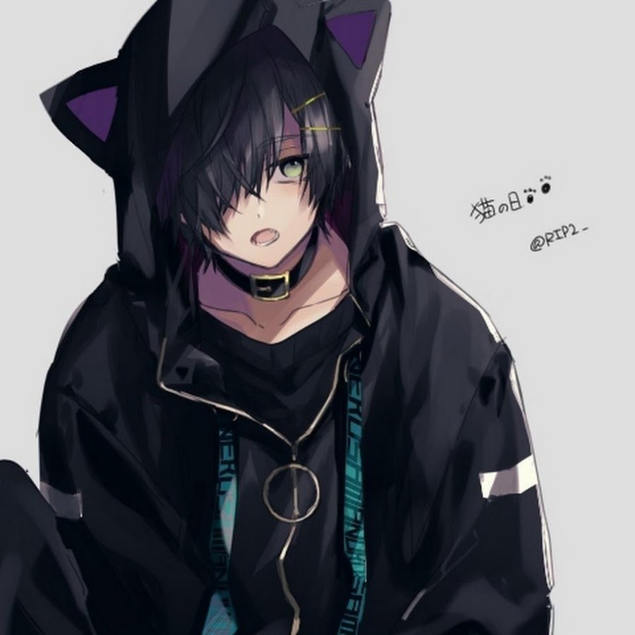 Черный кот в капюшоне