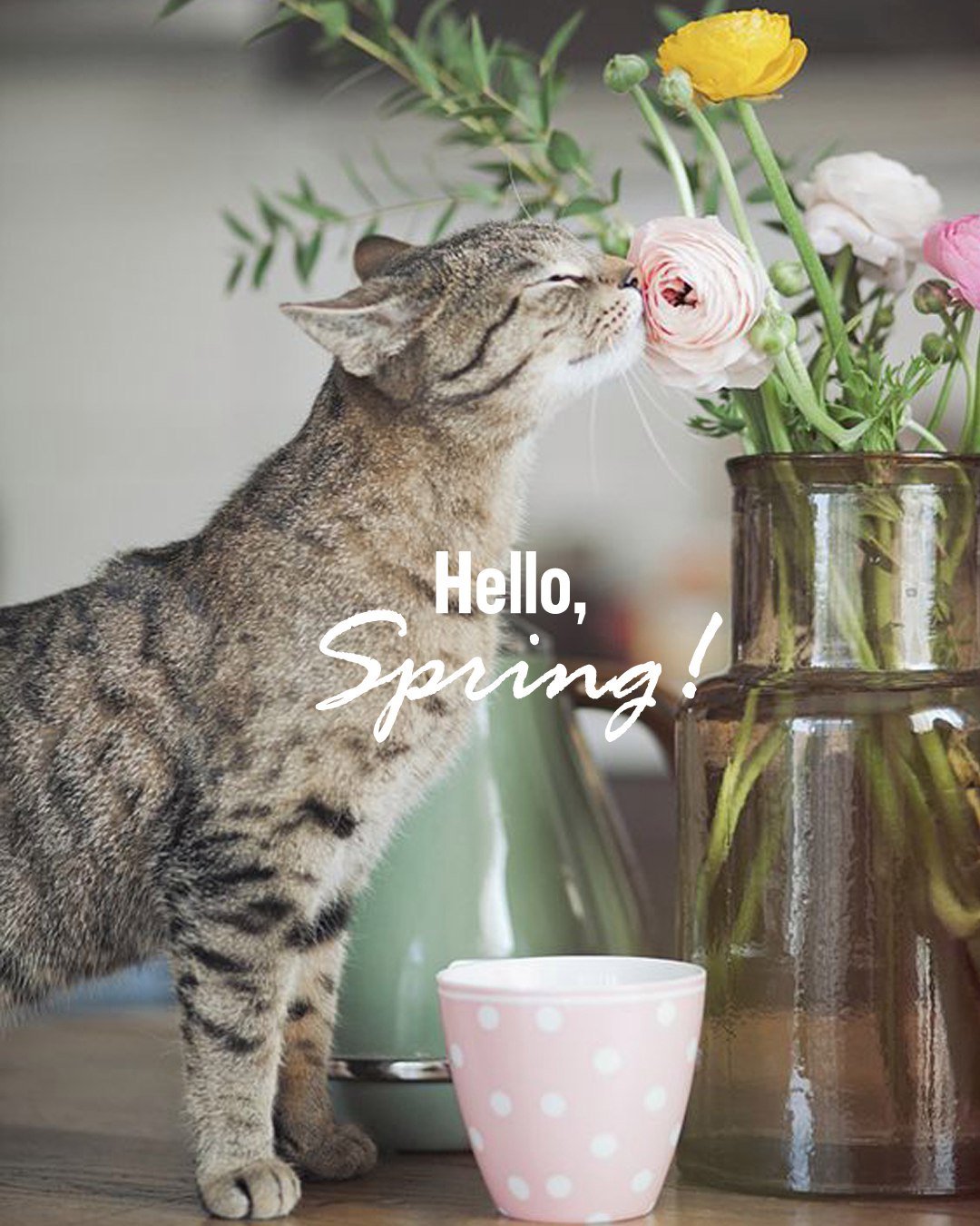 Пожелания доброго утра