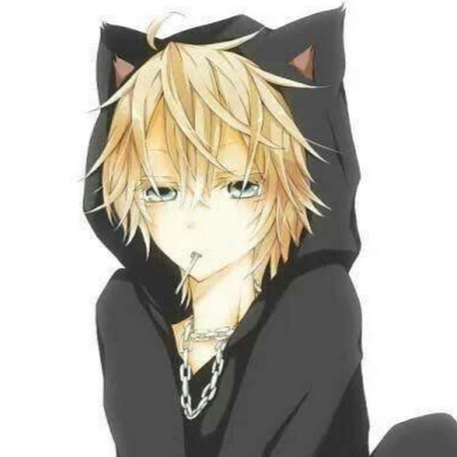 Грустный неко кун