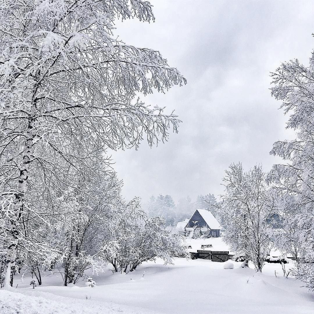 Снежная деревня