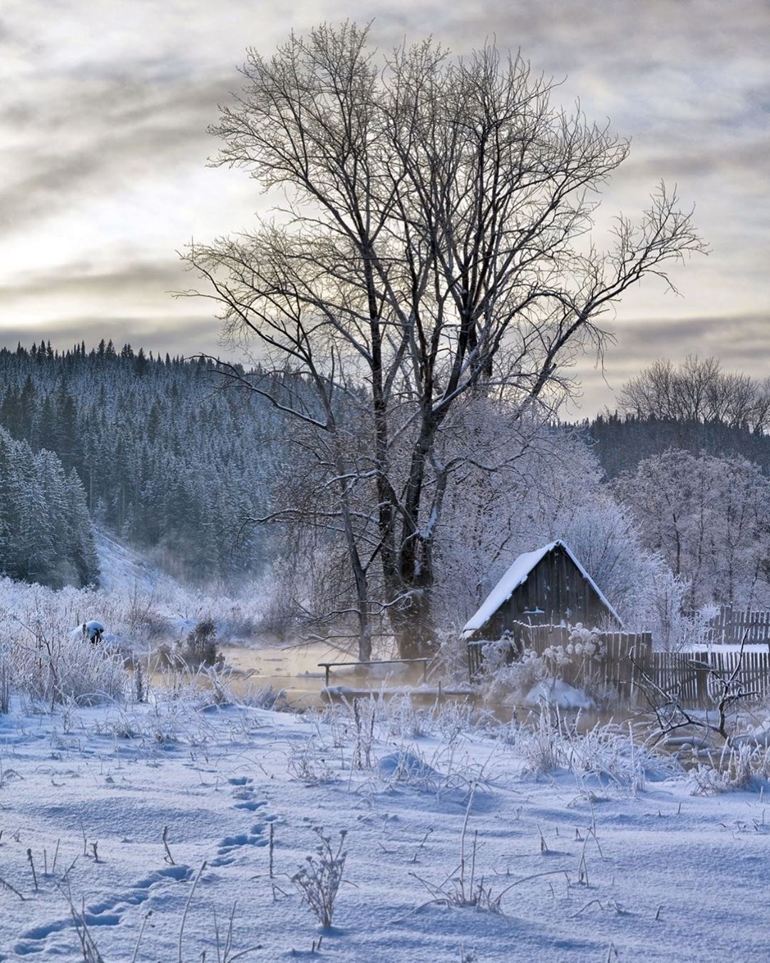 Деревня зимой