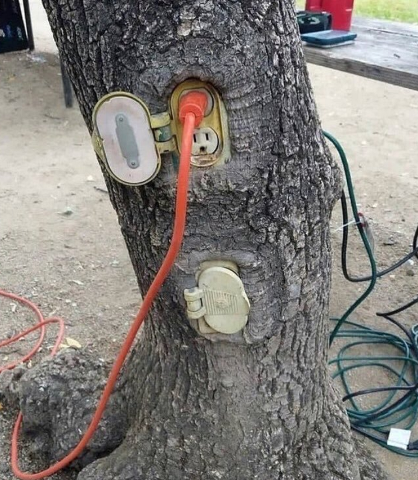 Розетка дерево