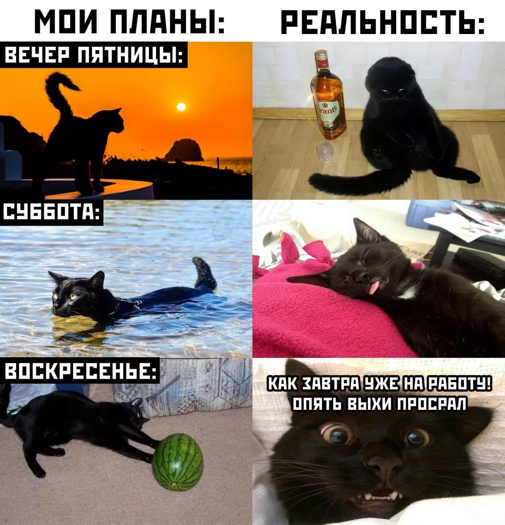 План и реальность