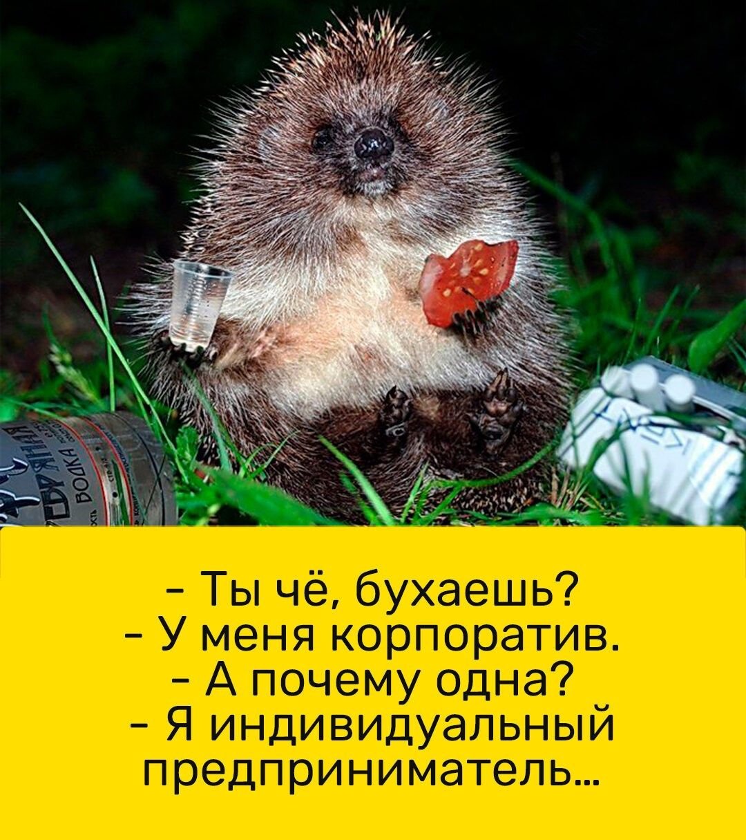 Пьяный Ежик