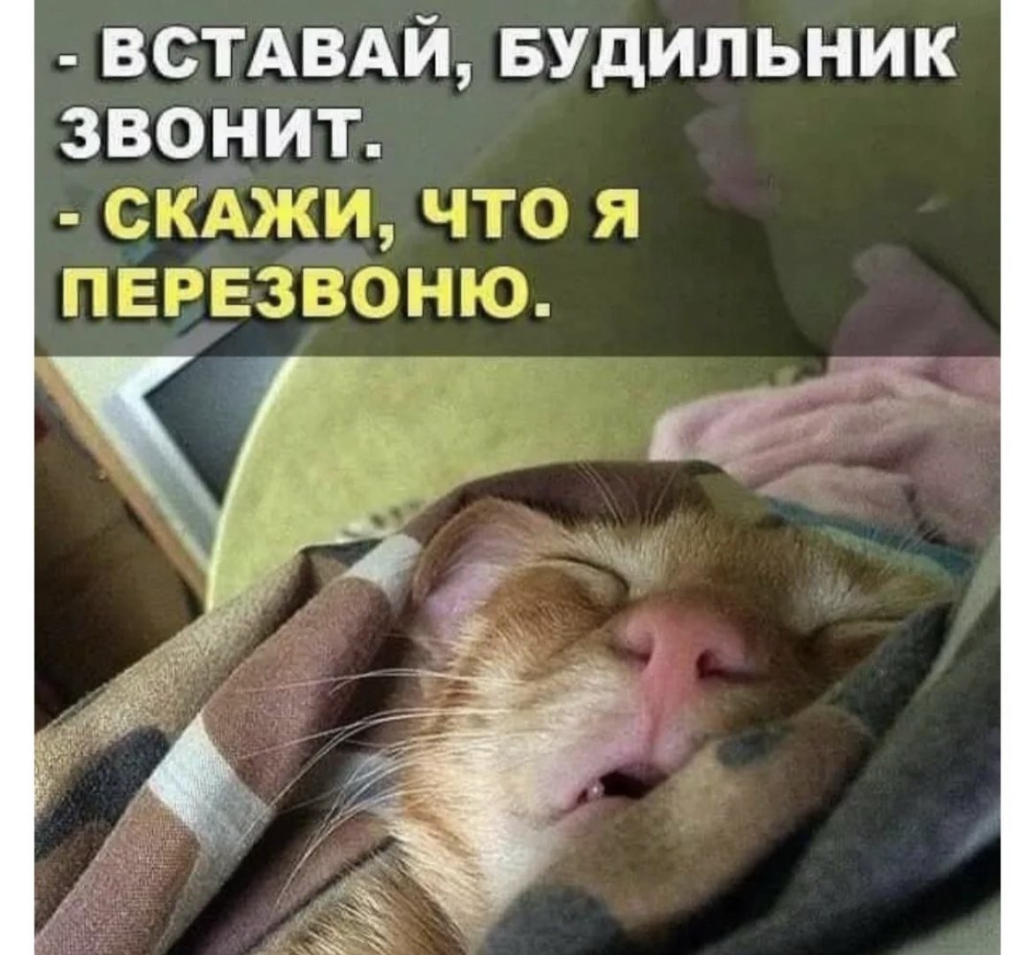 Проснулся прикол