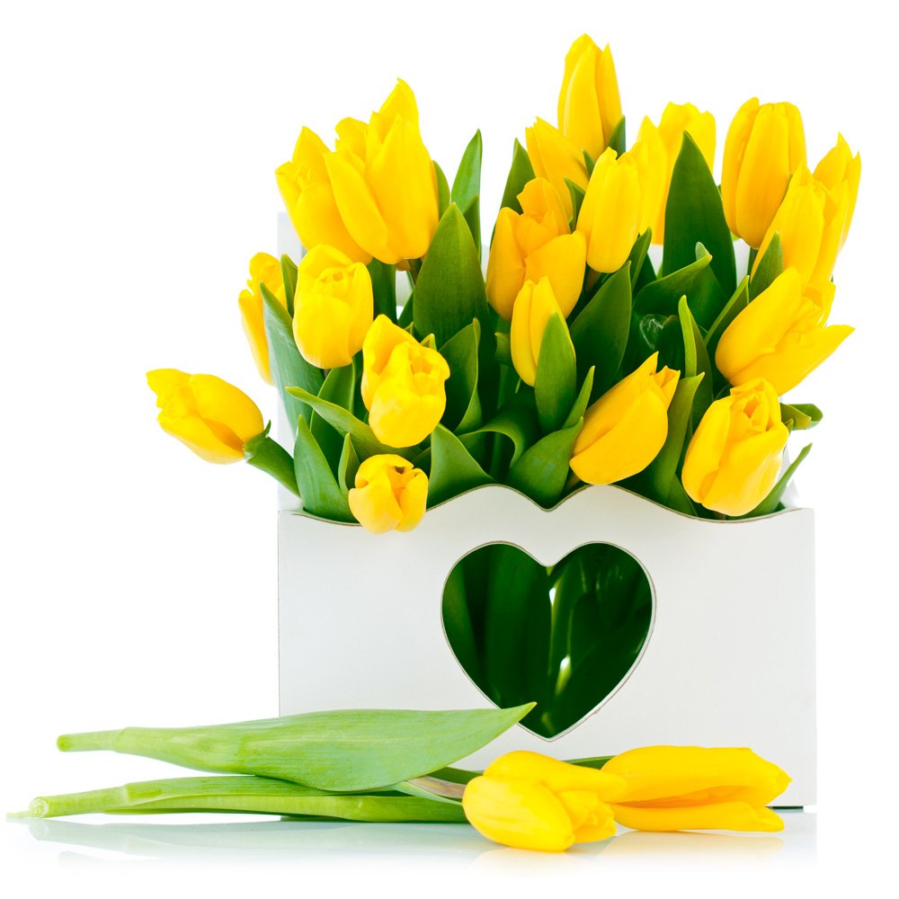 Открытки с желтыми тюльпанами