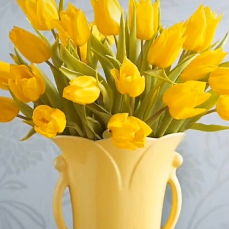 Тюльпаны для настроения