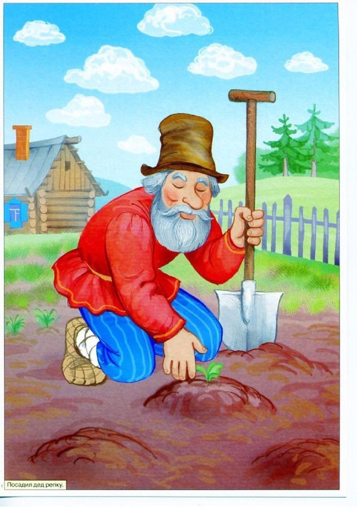 Сказка Репка дед