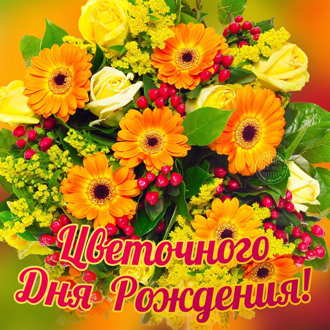 Поздравления с днём рождения Дашенька