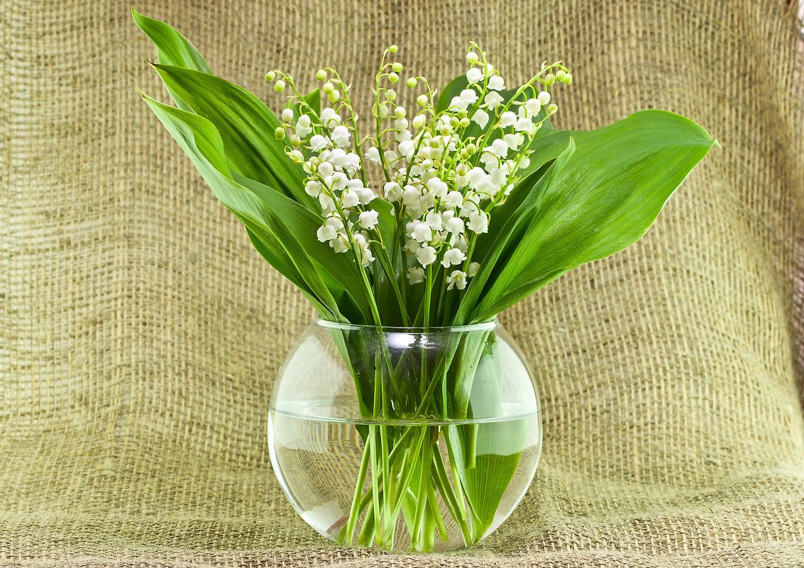 Ландыши букет в стеклянной вазе