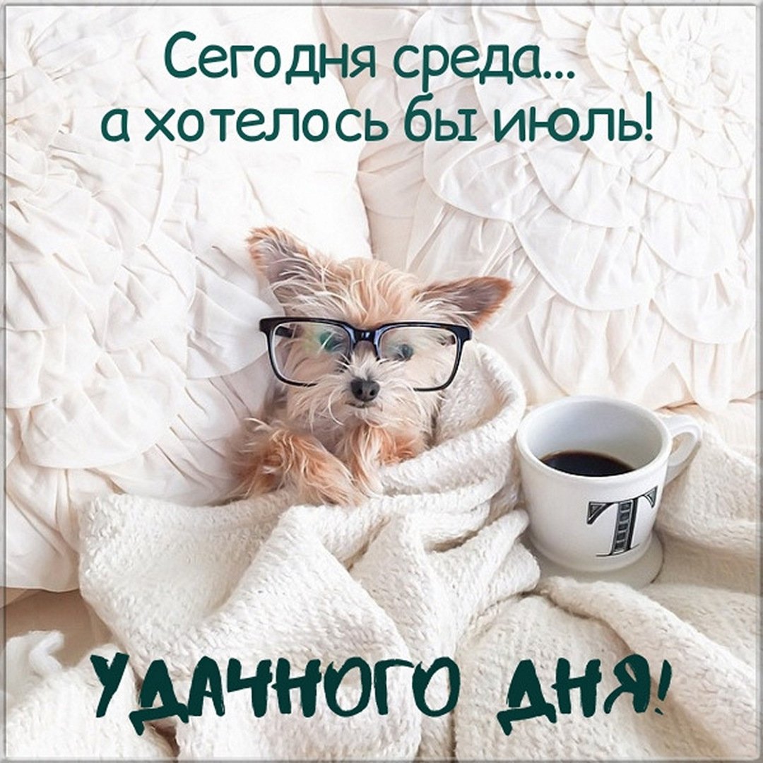 Доброе утро среда прикольные