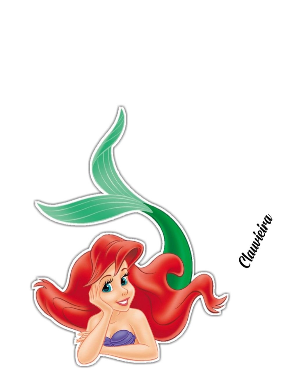 Картинка для этикетки Ариэль