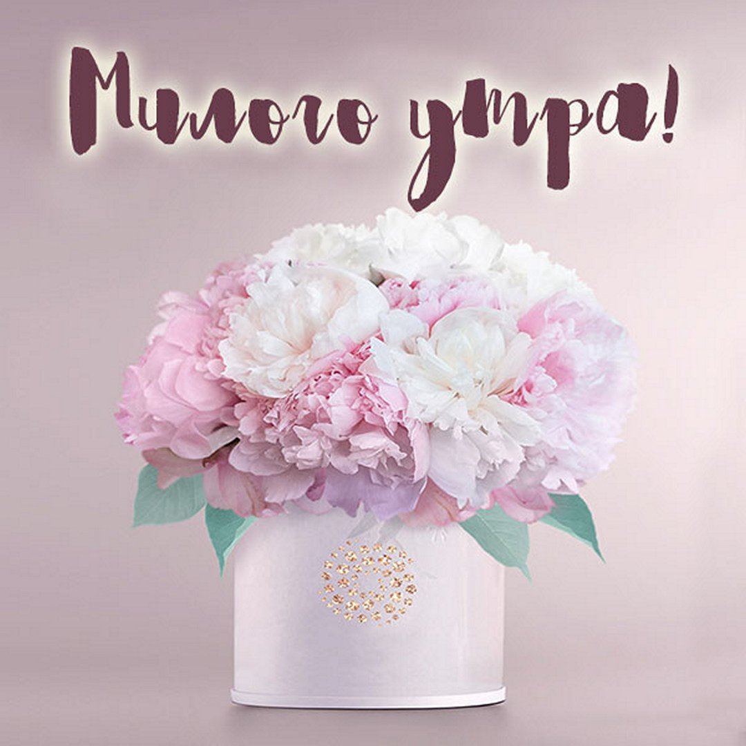 Доброе утро жена картинки