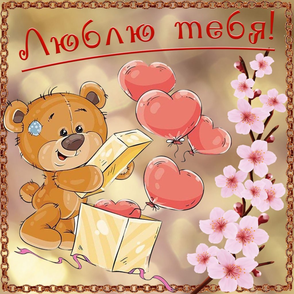 Добрый день Медвежонок