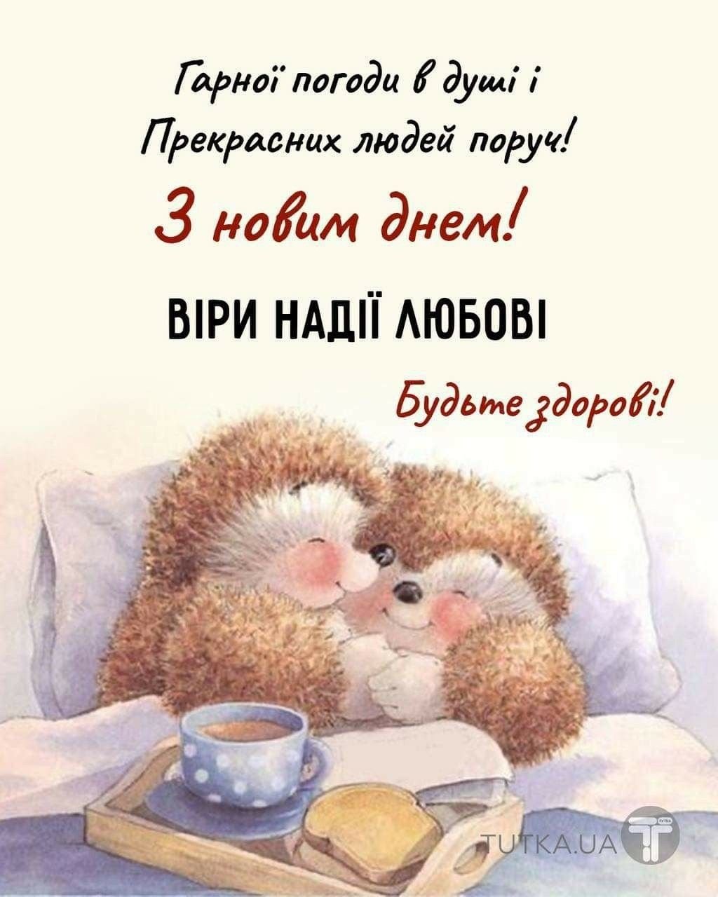 Доброе утро мишка