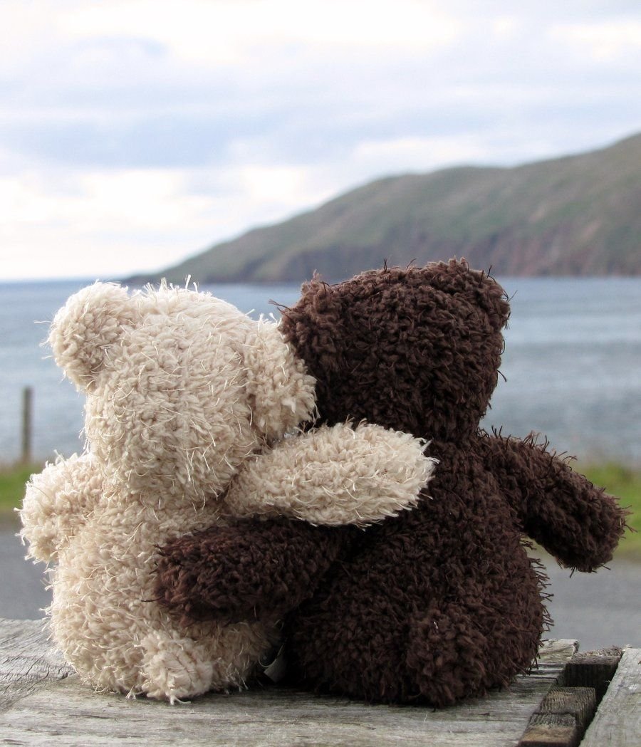 Плюшевые мишки обнимаются