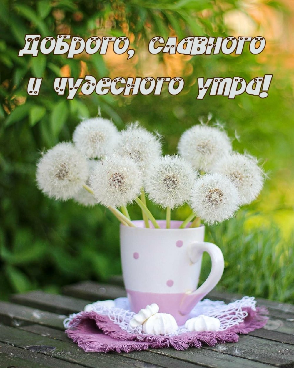 С добрым утром одуванчики