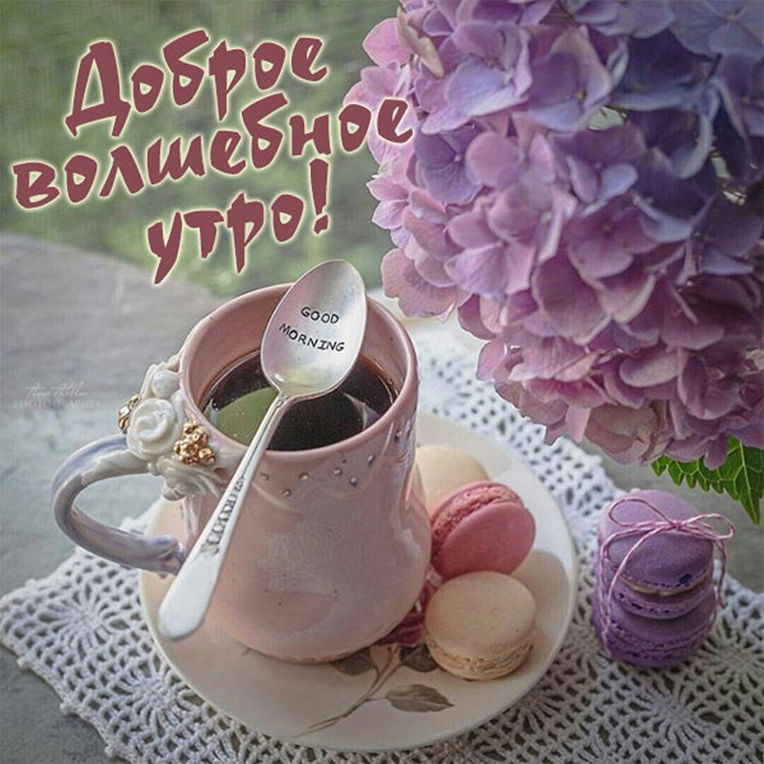 Доброе утро подруга