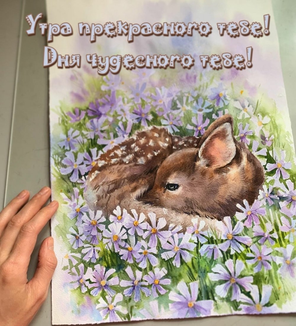 Волшебного утра и чудесного дня