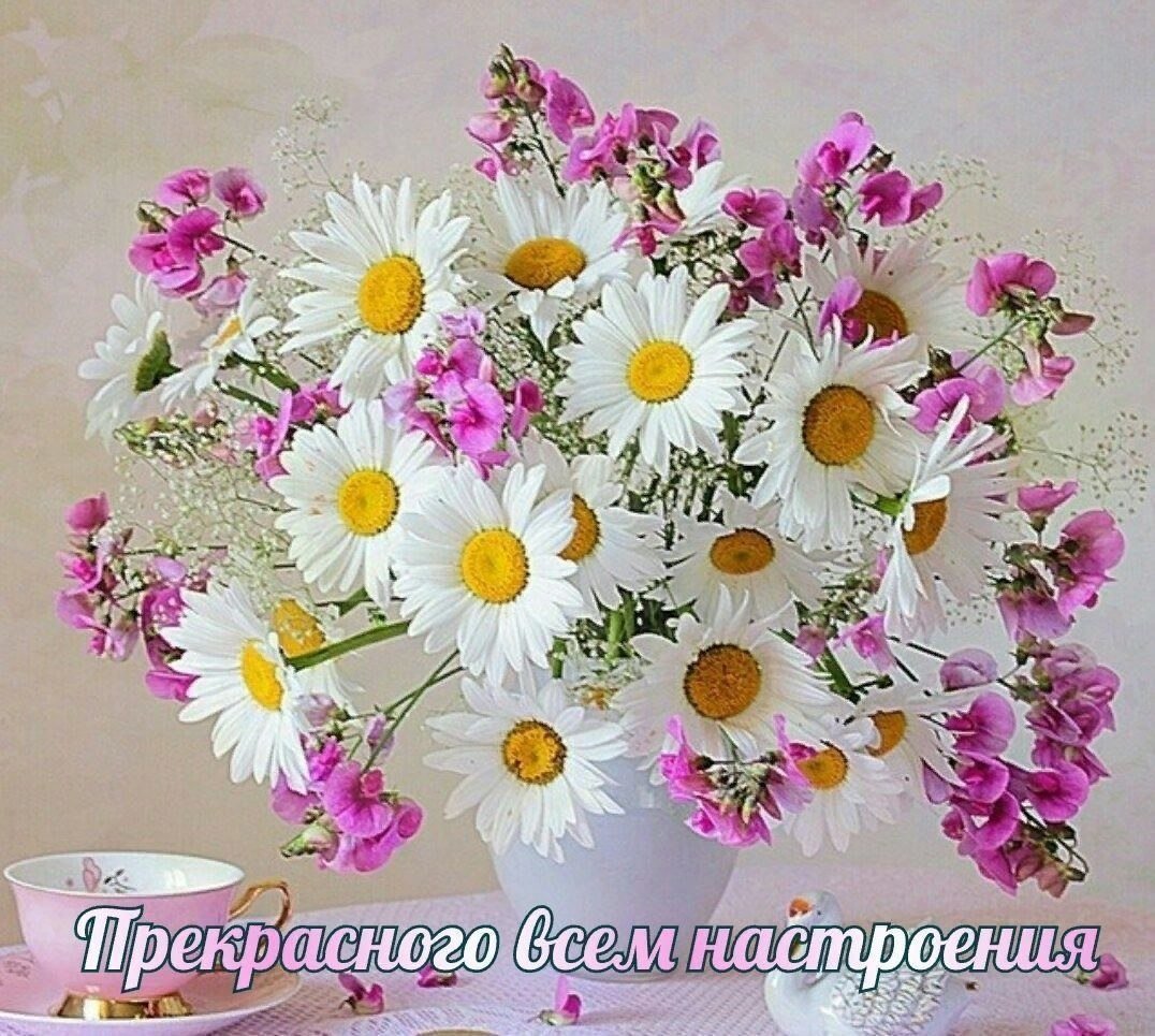 Добрый день Божьих благословений