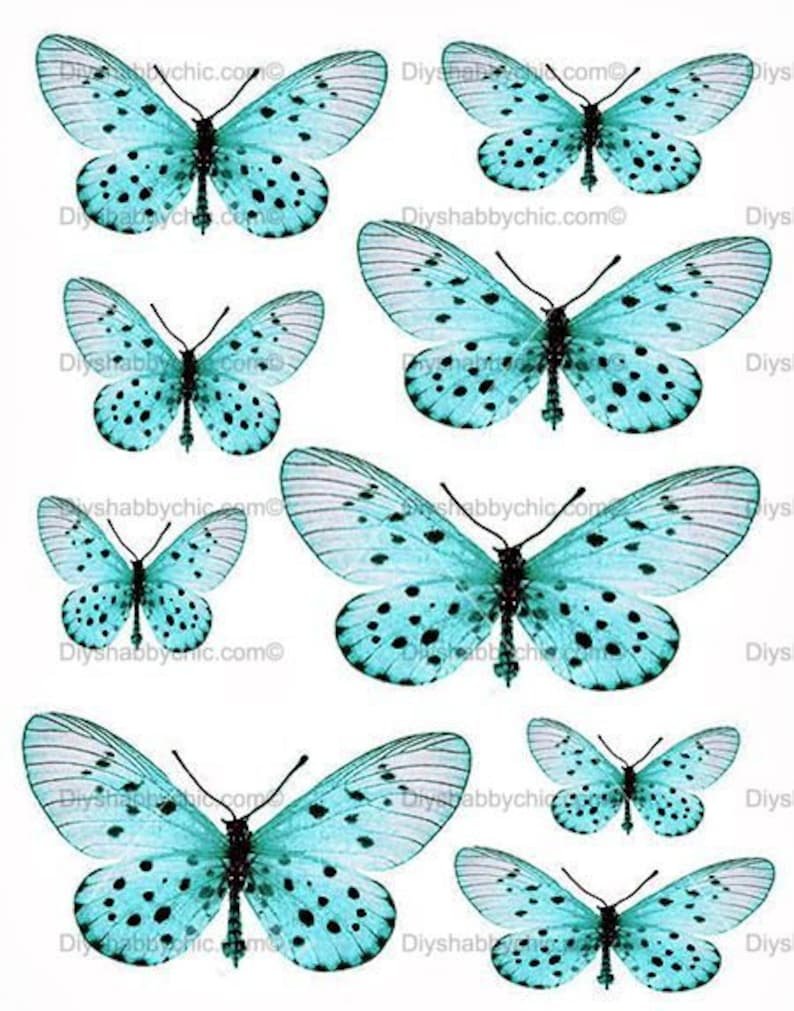 Бабочки для вырезания бирюзовые