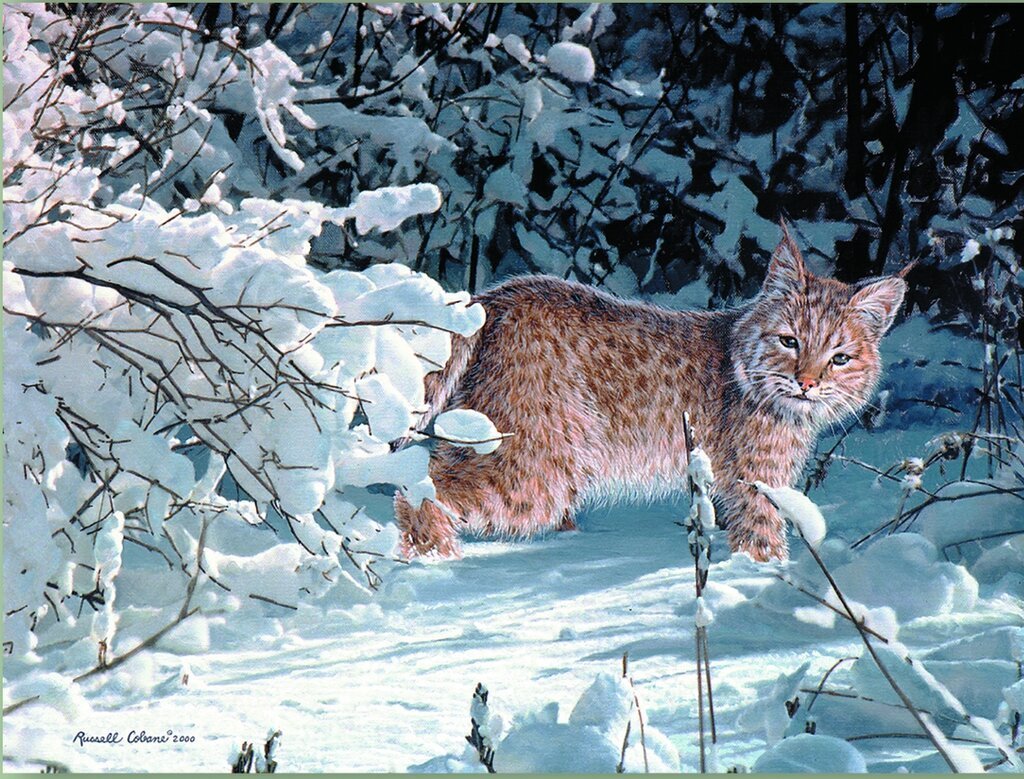 Зимний пейзаж с животными