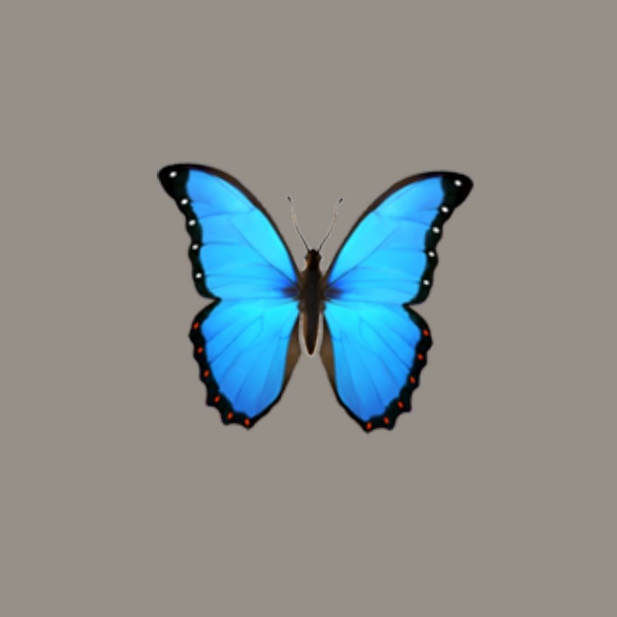 Тату бабочки эскизы цветные