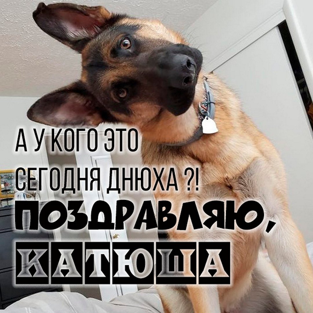 С днём рождения Олеся прикольные и смешные