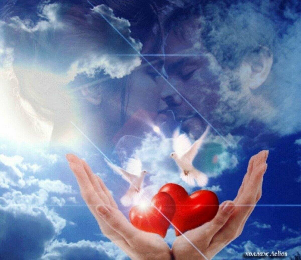 Сердце любовь счастье